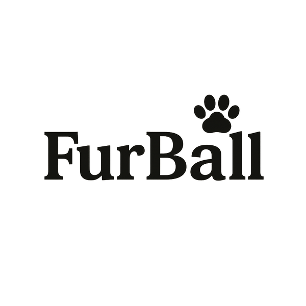 Furball